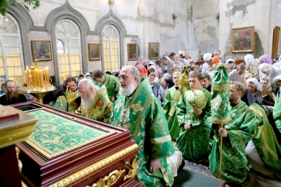 Свидетельства о благодатной помощи прп. Далмата (чудеса, исцеления, явления).